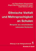 Dirim / Hauenschild / Lütje-Klose |  Ethnische Vielfalt und Mehrsprachigkeit an Schulen | Buch |  Sack Fachmedien