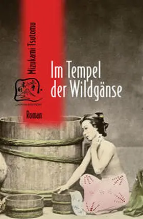 Mizukami / Klopfenstein |  Im Tempel der Wildgänse | Buch |  Sack Fachmedien