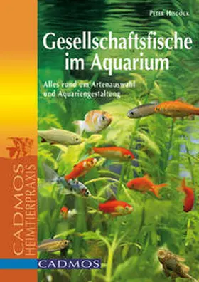 Hiscock |  Gesellschaftsfische im Aquarium | Buch |  Sack Fachmedien