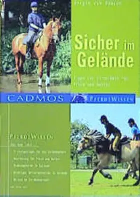 Damsen |  Sicher im Gelände | Buch |  Sack Fachmedien