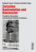 Jesse / Schubert |  Zwischen Konfrontation und Konzession | Buch |  Sack Fachmedien