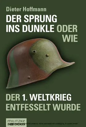 Hoffmann |  Der Sprung ins Dunkle | eBook | Sack Fachmedien