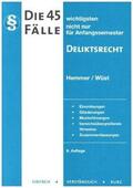 Hemmer / Wüst / d'Alquen |  Die 45 wichtigsten Fälle Deliktsrecht | Buch |  Sack Fachmedien