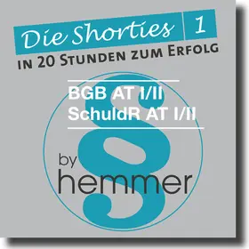 Hemmer / Wüst | BGB AT I/II, Schuldrecht AT I/II Minikarteikarten | Sonstiges | 978-3-86193-861-3 | sack.de