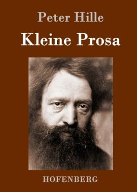 Hille |  Kleine Prosa | Buch |  Sack Fachmedien