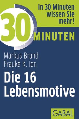 Ion / Brand | 30 Minuten Die 16 Lebensmotive | E-Book | sack.de