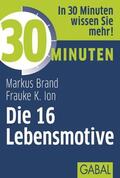 Ion / Brand |  30 Minuten Die 16 Lebensmotive | eBook | Sack Fachmedien
