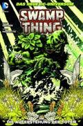 Snyder / Paquette |  Swamp Thing 01 | Buch |  Sack Fachmedien