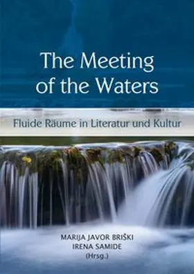 Samide / Javor Briski |  The Meeting of the Waters | Buch |  Sack Fachmedien