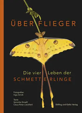 Straaß / Lieckfeld |  Überflieger. Die vier Leben der Schmetterlinge | Buch |  Sack Fachmedien