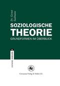 Saalmann |  Soziologische Theorie | Buch |  Sack Fachmedien