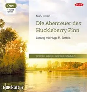 Twain | Die Abenteuer des Huckleberry Finn | Sonstiges | 978-3-86231-574-1 | www.sack.de