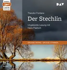 Fontane |  Der Stechlin | Sonstiges |  Sack Fachmedien
