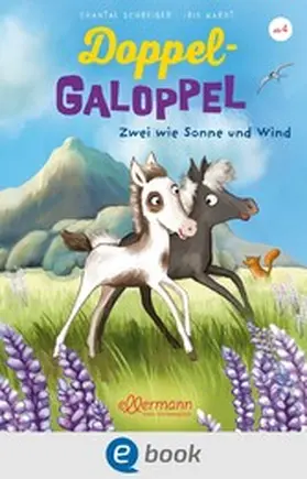 Schreiber |  Doppel-Galoppel 1. Zwei wie Sonne und Wind | eBook | Sack Fachmedien