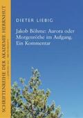 Liebig / Löhr / Meyer |  Jakob Böhme: Aurora oder Morgenröte im Aufbruch. Ein Kommentar | Buch |  Sack Fachmedien