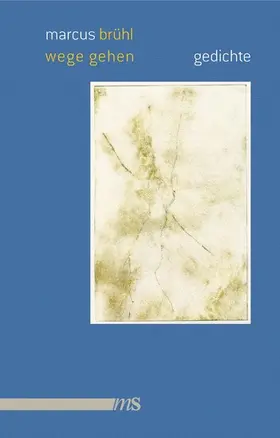 Brühl |  Wege gehen | eBook | Sack Fachmedien