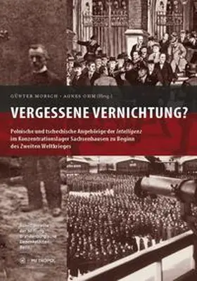 Morsch / Ohm |  Vergessene Vernichtung | Buch |  Sack Fachmedien
