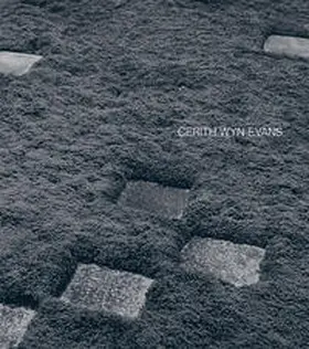  Cerith Wyn Evans | Buch |  Sack Fachmedien