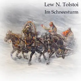 Tolstoi |  Im Schneesturm | Sonstiges |  Sack Fachmedien