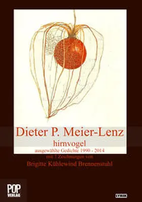 Meier-Lenz / Pop |  hirnvogel | Buch |  Sack Fachmedien