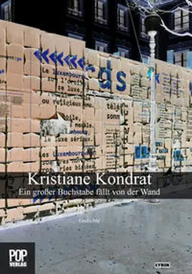 Kondrat / Pop |  Ein großer Buchstabe fällt von der Wand | Buch |  Sack Fachmedien
