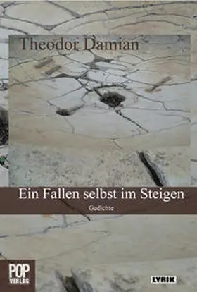 Damian / Pop |  Ein Fallen selbst im Steigen | Buch |  Sack Fachmedien