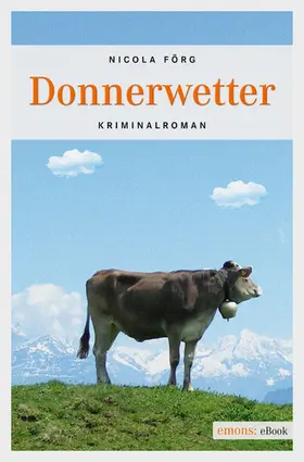 Förg |  Donnerwetter | eBook | Sack Fachmedien