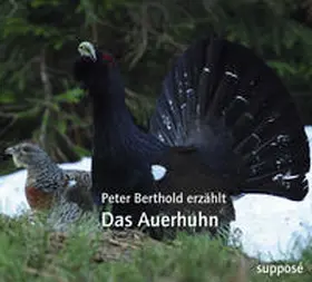 Berthold / Sander |  Das Auerhuhn | Sonstiges |  Sack Fachmedien