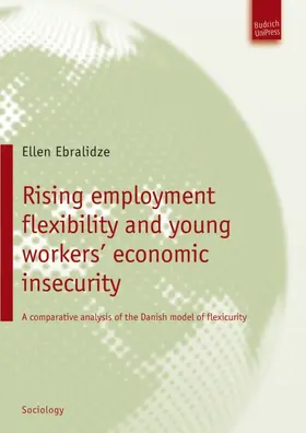 Ebralidze |  Rising employment flexibility and young workers’ economic insecurity | eBook | Sack Fachmedien