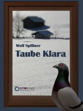 Spillner |  Taube Klara oder Zufälle gibt es nicht | eBook | Sack Fachmedien