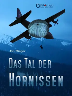 Flieger |  Das Tal der Hornissen | eBook | Sack Fachmedien