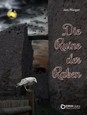 Flieger |  Die Ruine der Raben | eBook | Sack Fachmedien