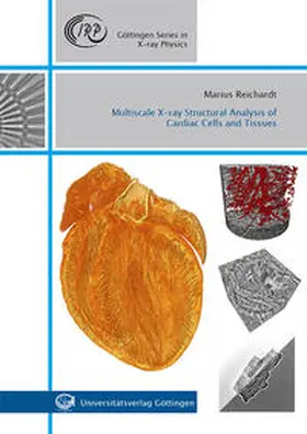 Reichardt |  Multiscale X-ray Structural Analysis of Cardiac Cells and Tissues | Buch |  Sack Fachmedien
