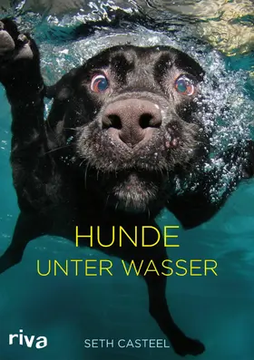 Casteel | Hunde unter Wasser | E-Book | sack.de