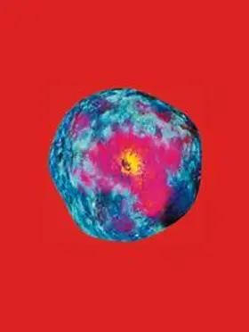 Suter / Aeschbacher / Berg |  Pipilotti Rist: Dein Speichel ist mein Taucheranzug im Ozean des Schmerzes | Buch |  Sack Fachmedien