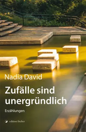 David |  Zufälle sind unergründlich | Buch |  Sack Fachmedien