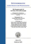 Pfaff / Mertzsch / Jeremias |  Die Energiewende 2.0. Im Fokus: Die Stoffwirtschaft. | Buch |  Sack Fachmedien