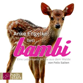 Salten |  Bambi | Sonstiges |  Sack Fachmedien