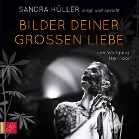 Herrndorf |  Bilder deiner großen Liebe | Sonstiges |  Sack Fachmedien