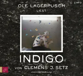 Setz |  Indigo | Sonstiges |  Sack Fachmedien