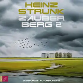 Strunk |  Zauberberg 2 | Sonstiges |  Sack Fachmedien