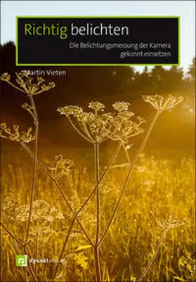 Vieten |  Richtig belichten | Buch |  Sack Fachmedien