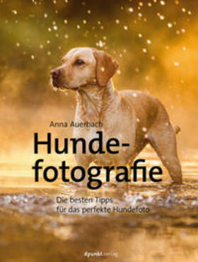 Auerbach | Hundefotografie | Buch | 978-3-86490-690-9 | sack.de