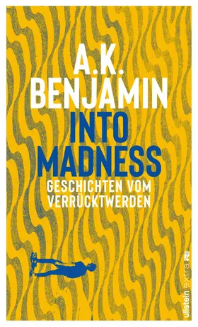 Benjamin |  Into madness | Buch |  Sack Fachmedien