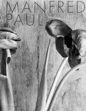 Paul |  Still-Life Phographs 1983-1985 | Buch |  Sack Fachmedien