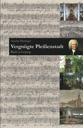 Hartinger |  Vergnügte Pleißenstadt | Buch |  Sack Fachmedien