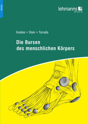 Stein / Tomalla / Koepke | Die Bursen des menschlichen Körpers | E-Book | sack.de