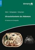 Hohn / Scheperjans / Schumann |  Ultraschallanatomie des Abdomens | Buch |  Sack Fachmedien
