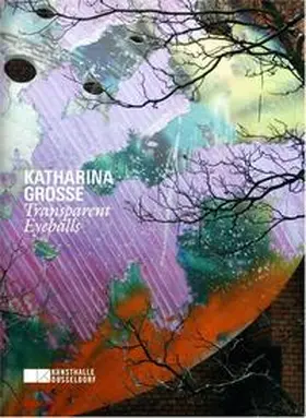  Katharina Grosse. Kunsthalle Düsseldorf | Buch |  Sack Fachmedien