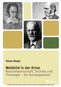 Radaj |  Weltbild in der Krise | eBook | Sack Fachmedien